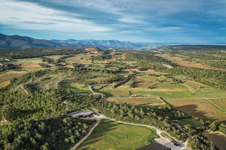 Wine tasting TRAVEL COLLECTION