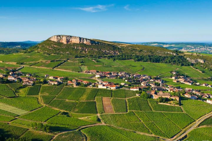 Dégustations de vins TOUT SUR UNE REGION