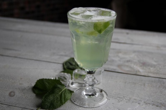 Fresh Gin
