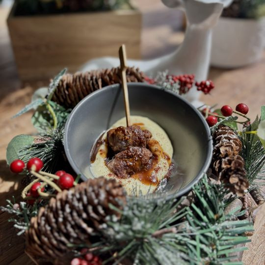 Brochettes de magret de canard et dattes au sumac, mousseline de panais, sauce au café |